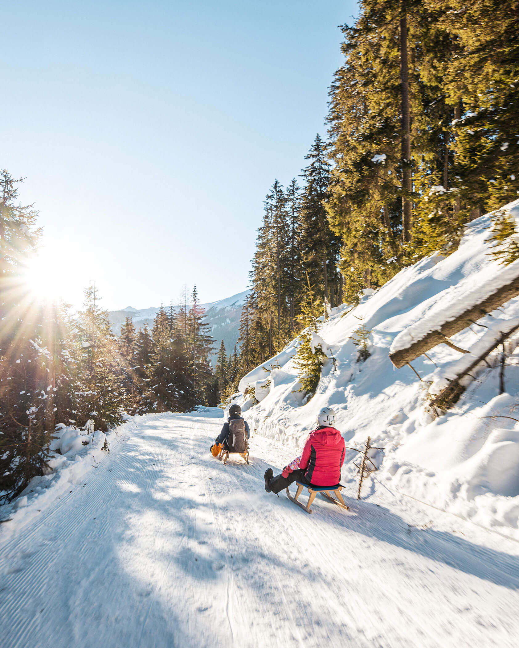 Zwei Personen fahren mit dem Schlitten einen verschneiten Weg durch einen sonnenbeschienenen Wald mit Bergen im Hintergrund hinunter. - Kerschbaumerhof
