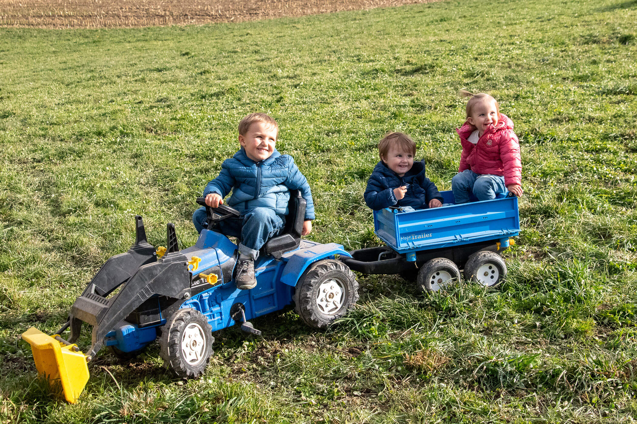 Drei kleine Kinder in Jacken spielen an einem sonnigen Tag auf einem blauen Spielzeugtraktor mit Anhänger auf einer Wiese. - Kerschbaumerhof