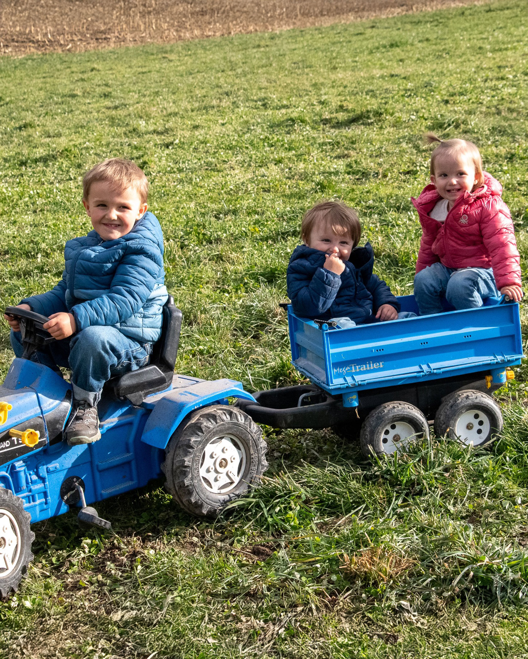 Drei kleine Kinder in Jacken fahren mit einem blauen Spielzeugtraktor und Anhänger auf einer Wiese. - Kerschbaumerhof